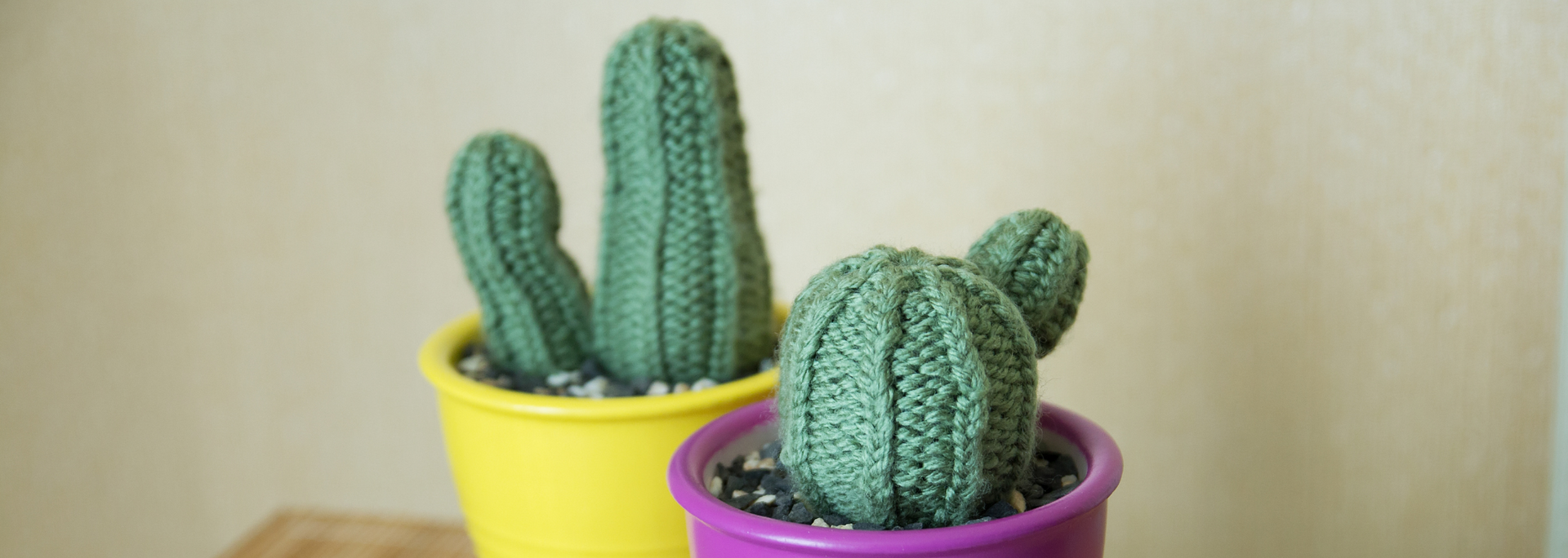 Picture of a knitted cactus.