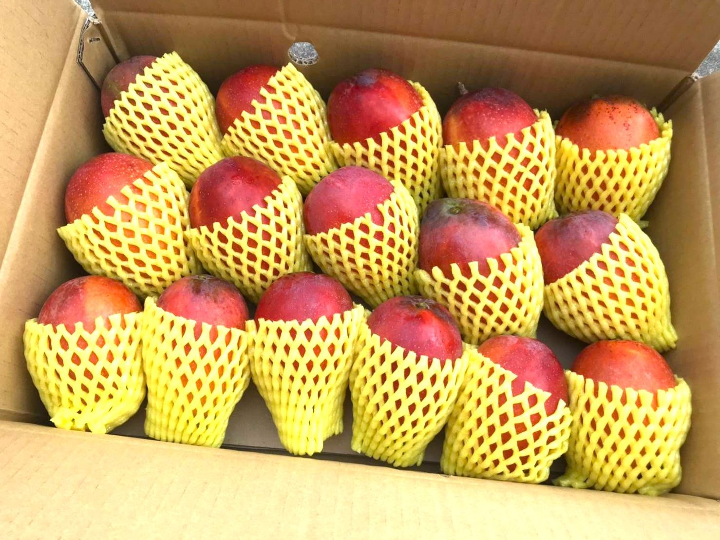 惜福品-愛文芒果(十斤裝)