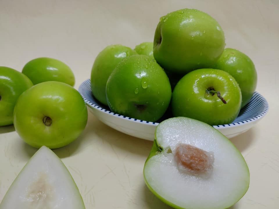 神農獎珍梨蜜棗5台斤組(22-25顆)