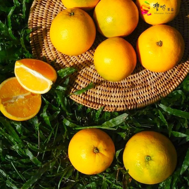 肚臍柑—柳丁與橘子的愛情結晶