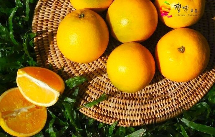 肚臍柑—柳丁與橘子的愛情結晶
