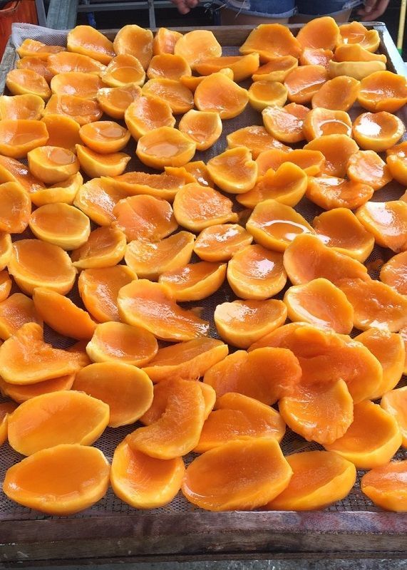 豐味愛文芒果乾