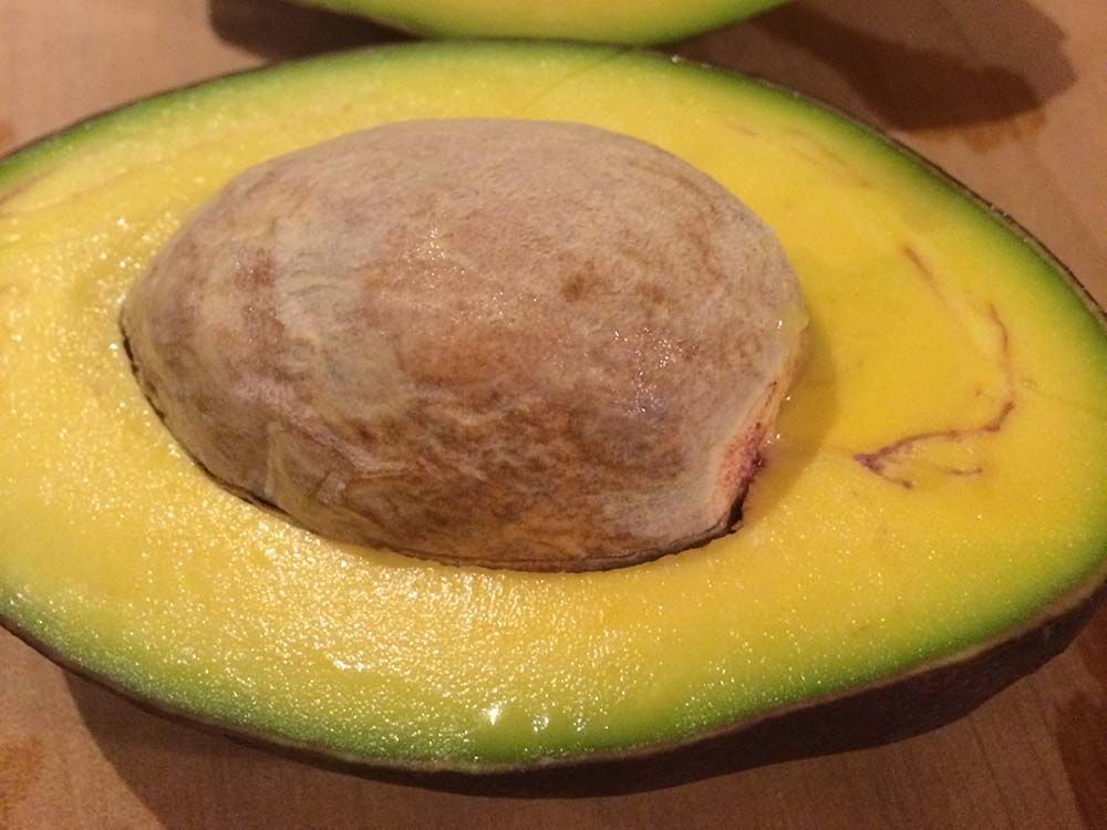 酪梨友善種植晚中生果5斤