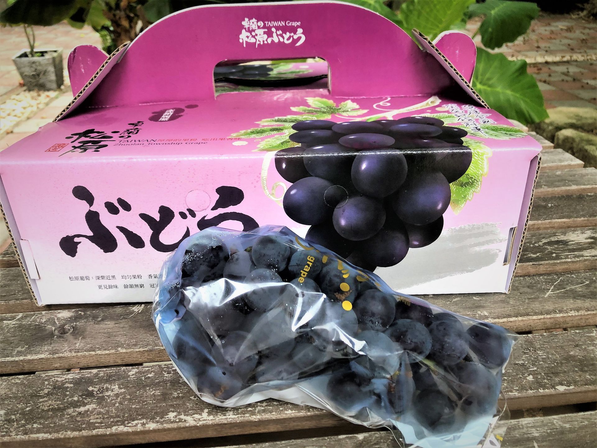 無農藥巨峰葡萄-苗栗卓蘭