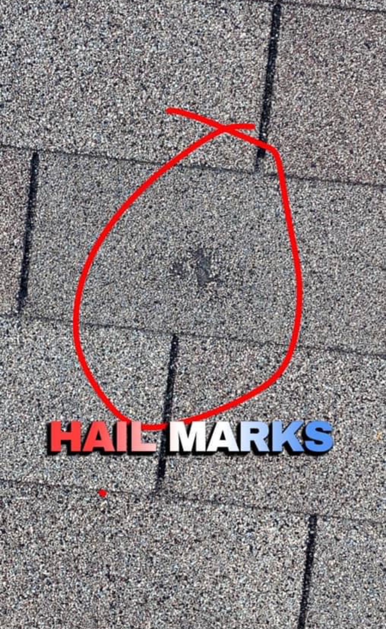Hail damage on asphalt roof shingles, marked with a red circle; text says 