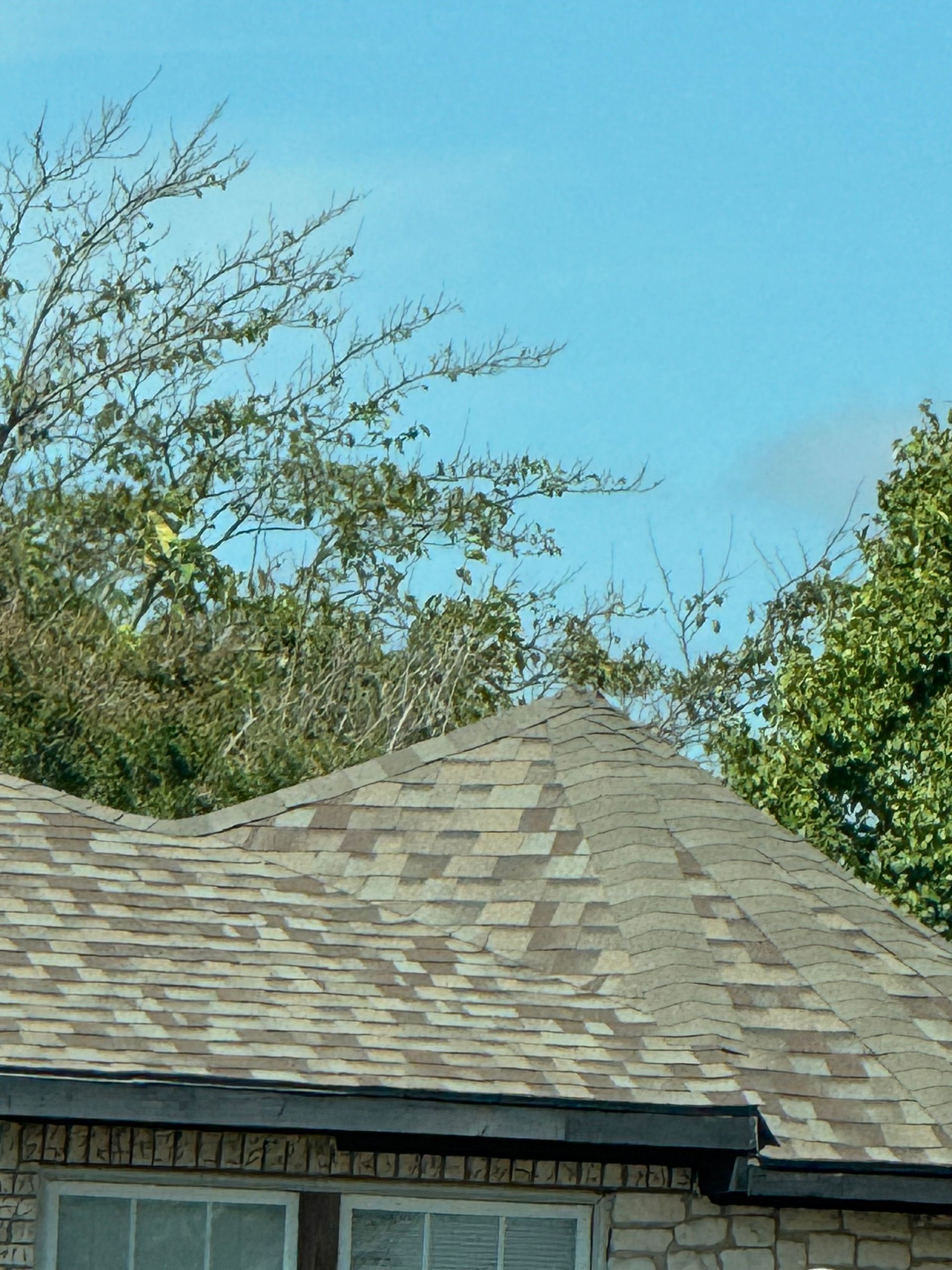 Roof of a house with brown shingles against a blue sky, partially obscured by green trees.