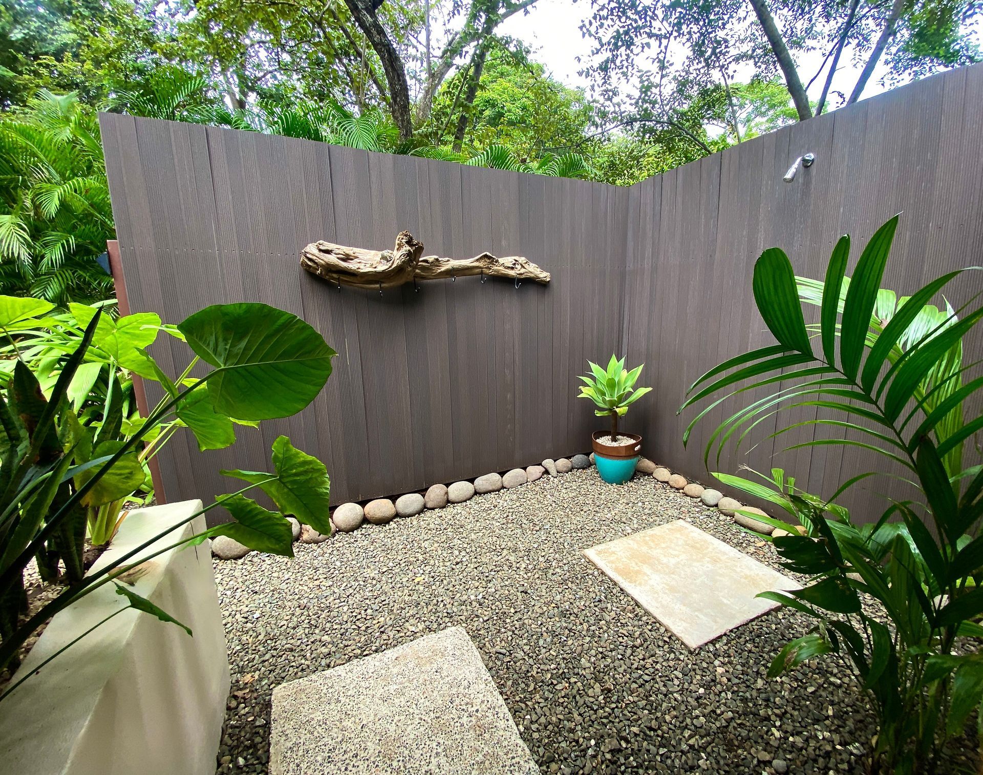 Small outdoor zen garden with a gray fence, gravel, stepping stones, plants, and driftwood.