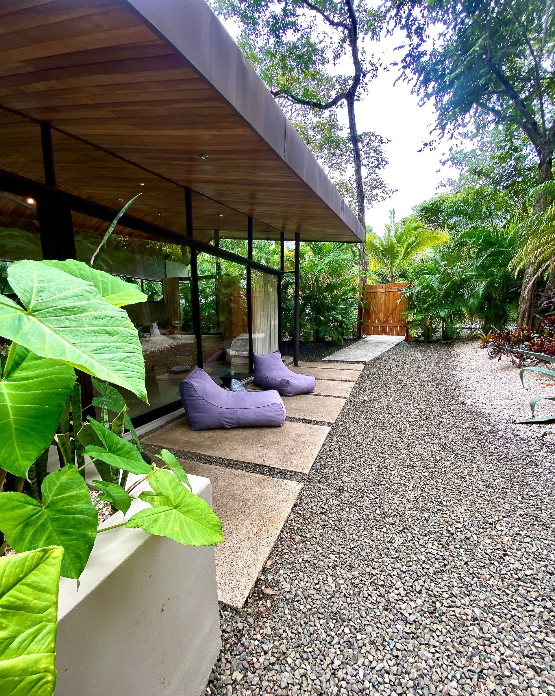 Modern house exterior with glass walls, stone path, two purple beanbag chairs, and lush greenery.