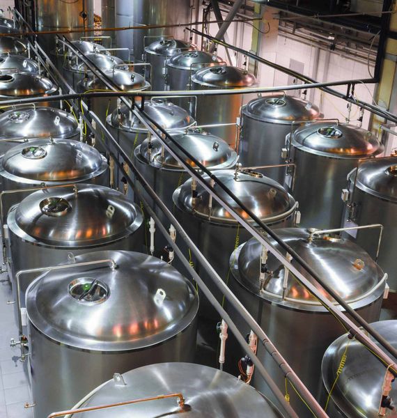 Rows of large, shiny stainless steel fermentation tanks in a brewery.