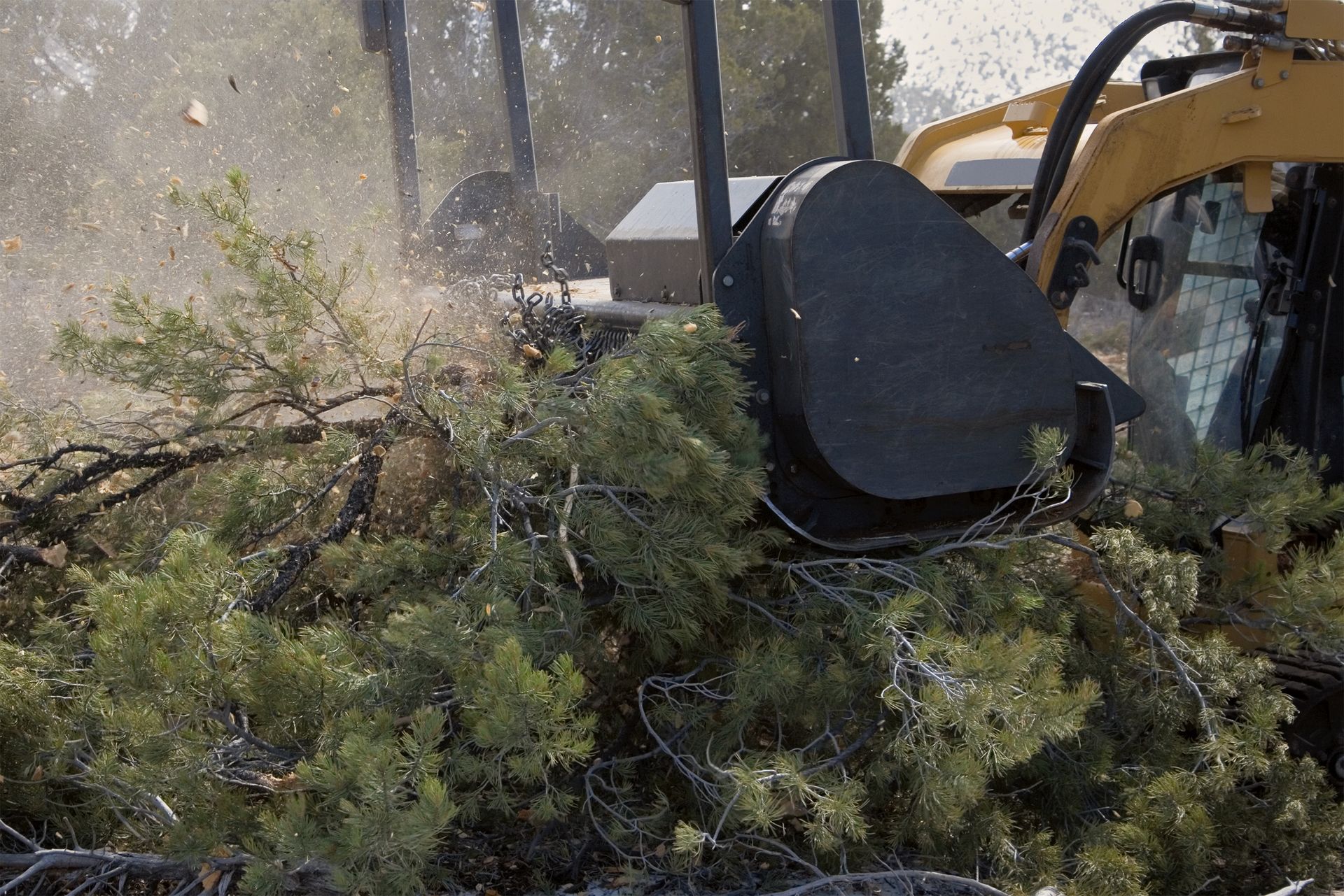 A yellow machine shredding green bushes and branches, with wood chips flying.