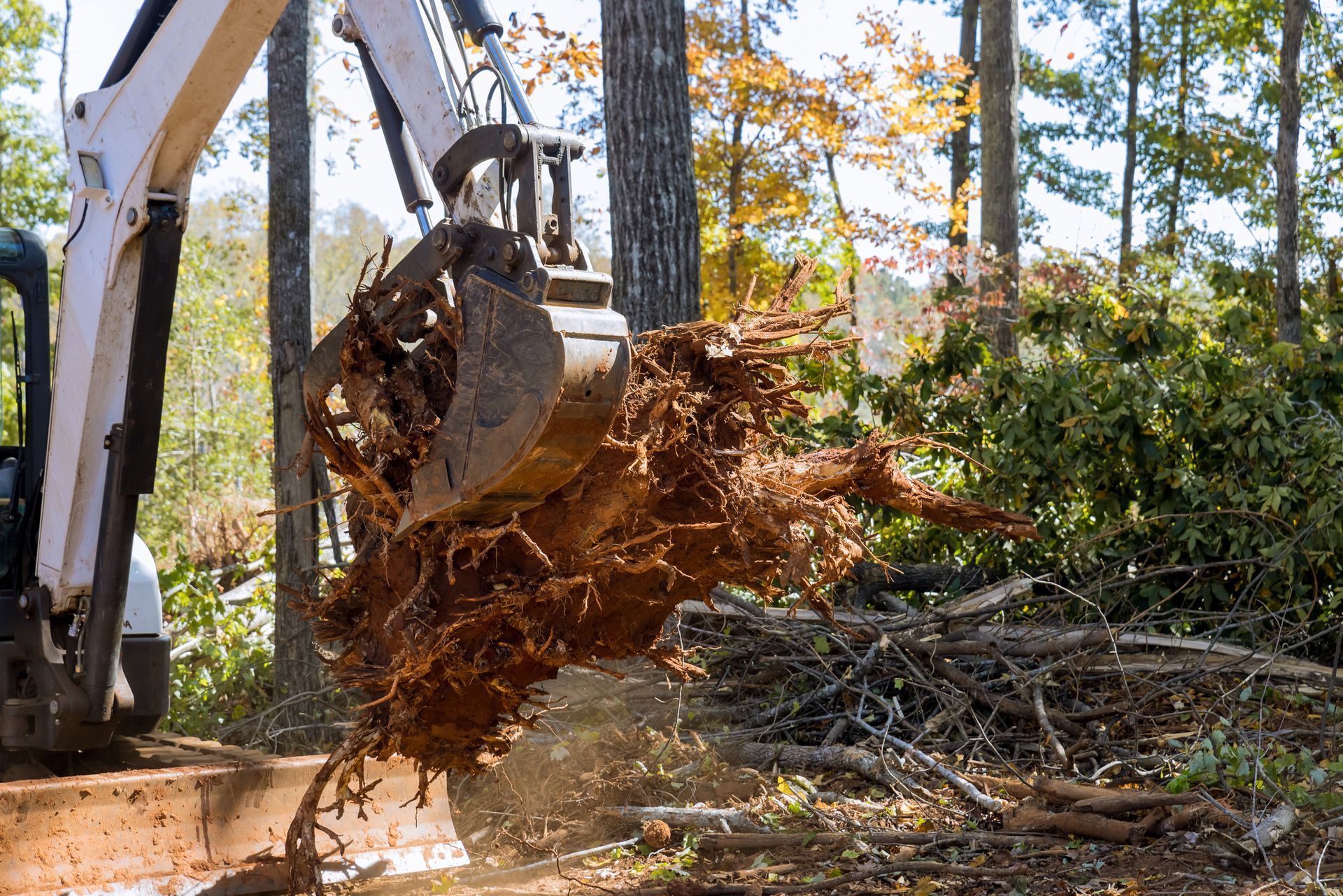 Excavator lifting a large tree root system. The machine is beige/white; the root is brown. Forest background.