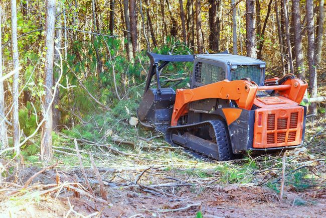 Orange tracked skid steer clearing brush in a wooded area.