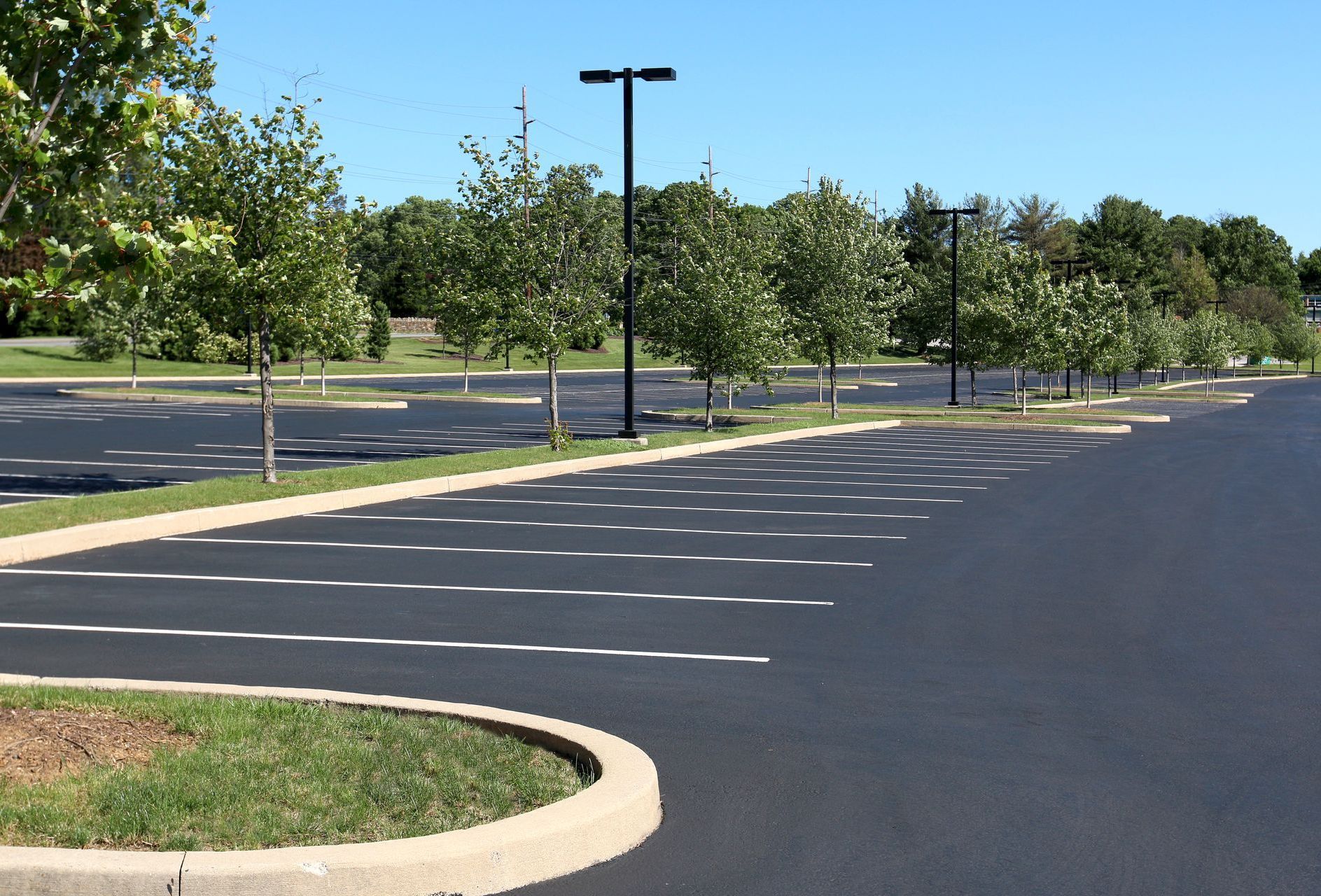 An empty parking lot with trees in the background