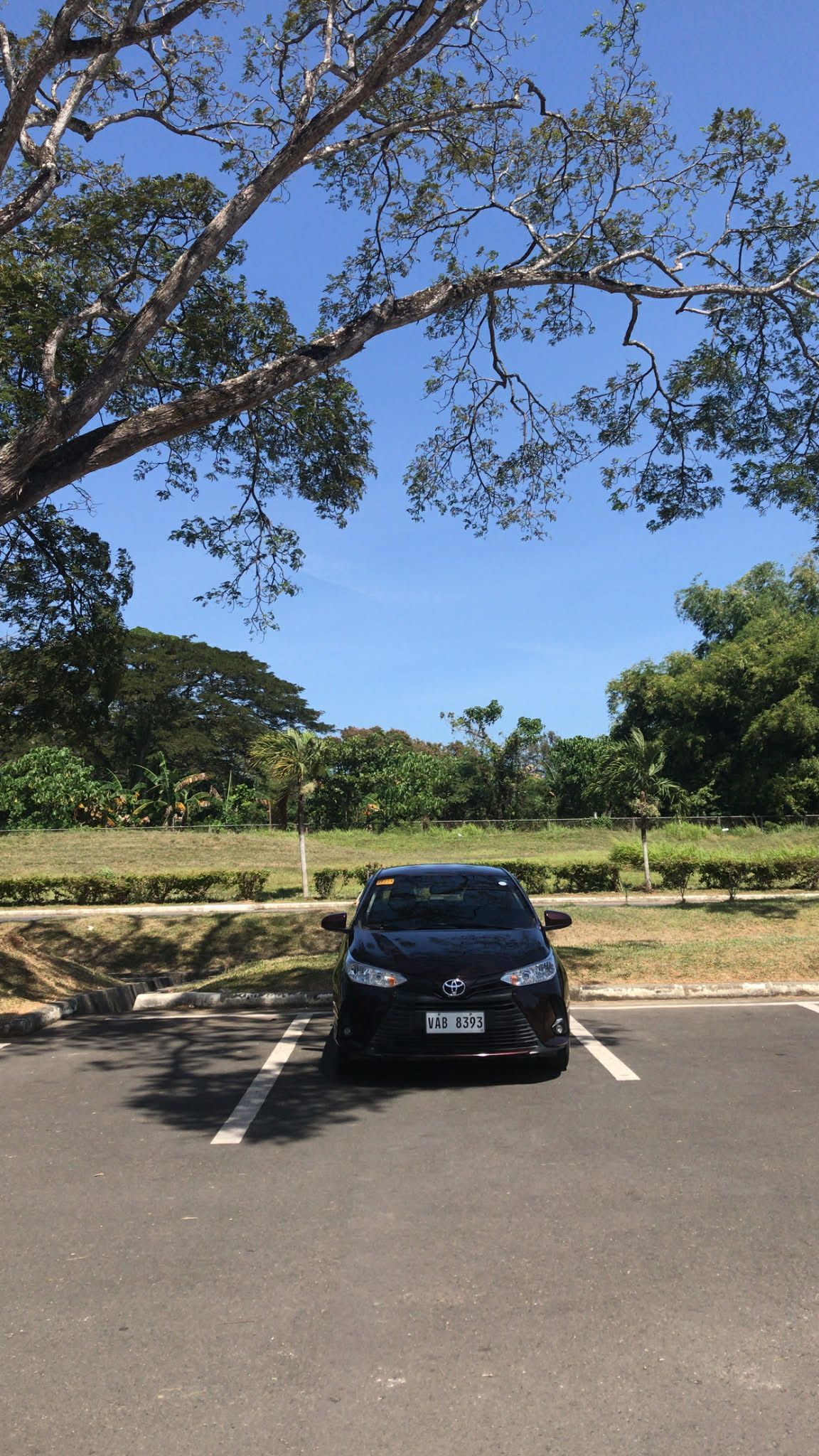 Car rental at Puerto Princesa Airport with Toyota Vios