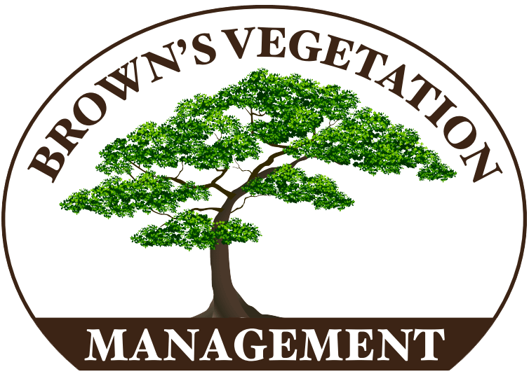 Earthmoving Rockhampton - Tree Services & Tree Removal Rockhampton
