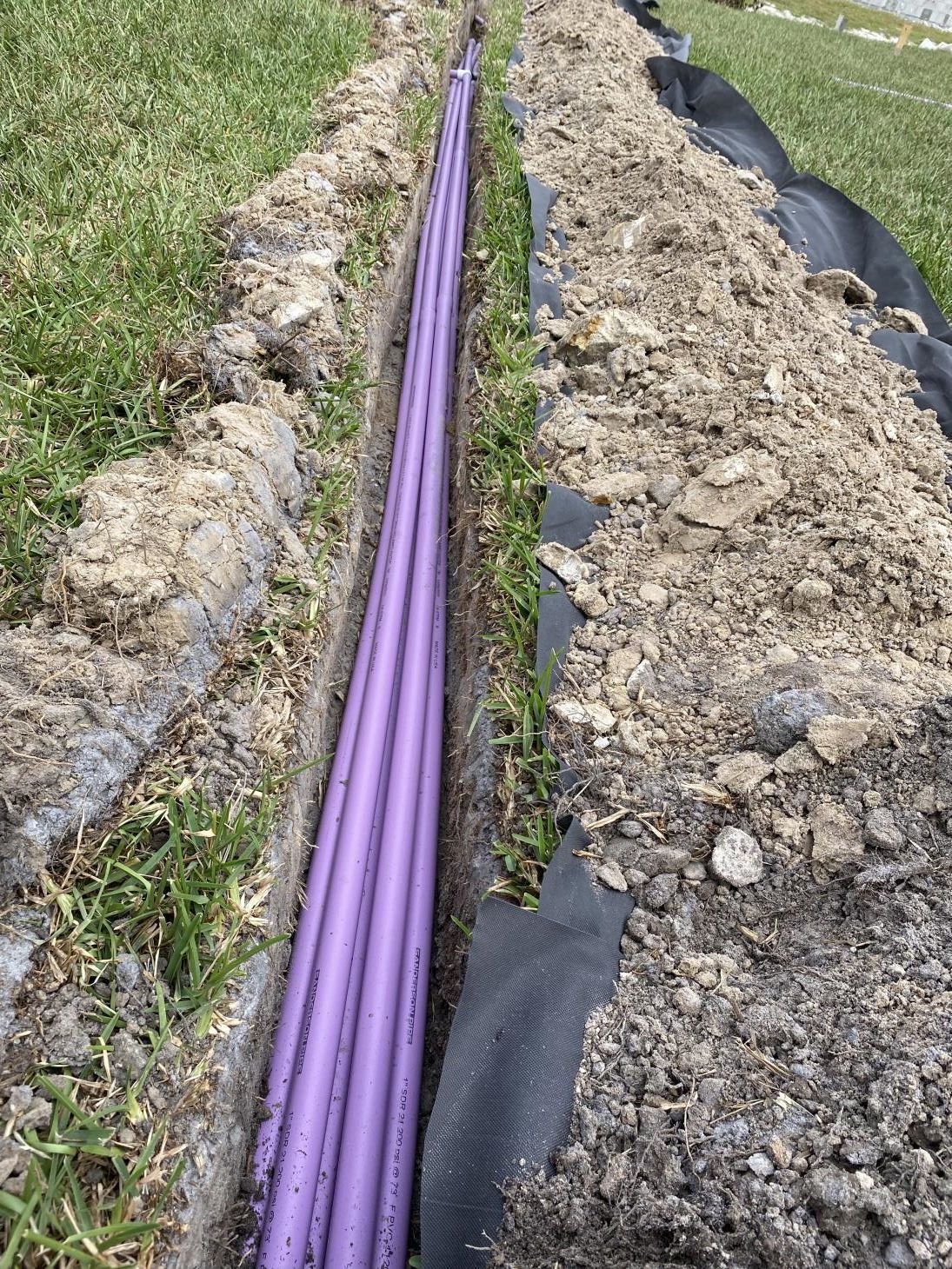 Violet Water Pipes