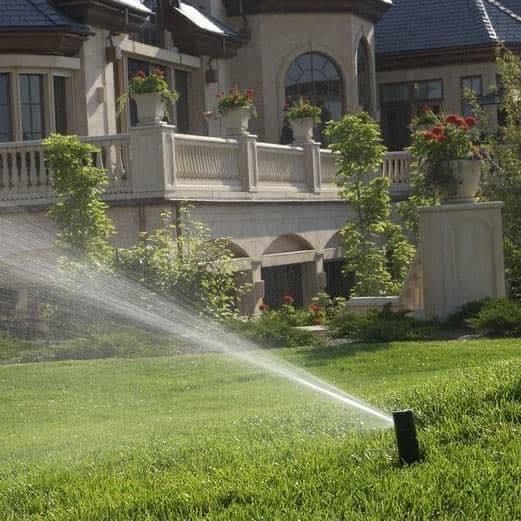Lawn Sprinkler on Front Yard