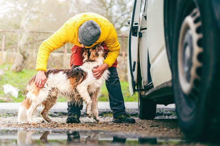 Vita in Camper con Animali Domestici