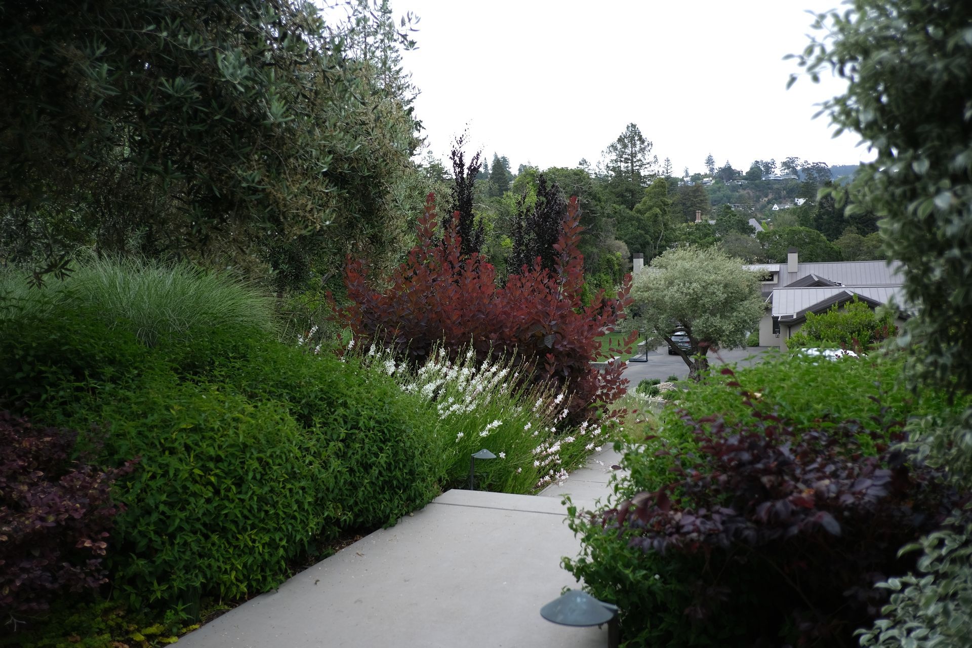 Landscape Maintenance — Concord, CA — J & M Landscape