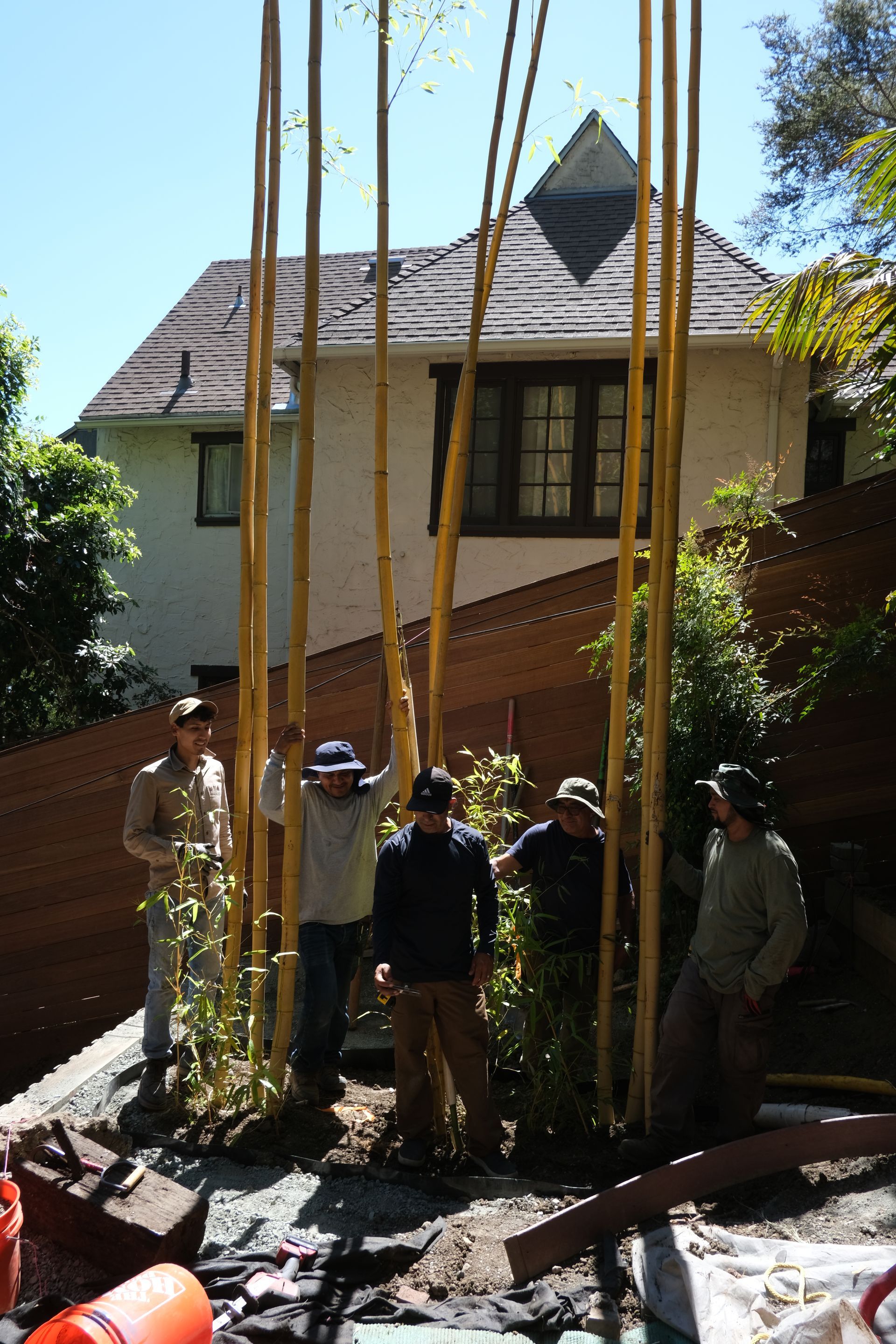 Bamboo Removal — Concord, CA — J & M Landscape