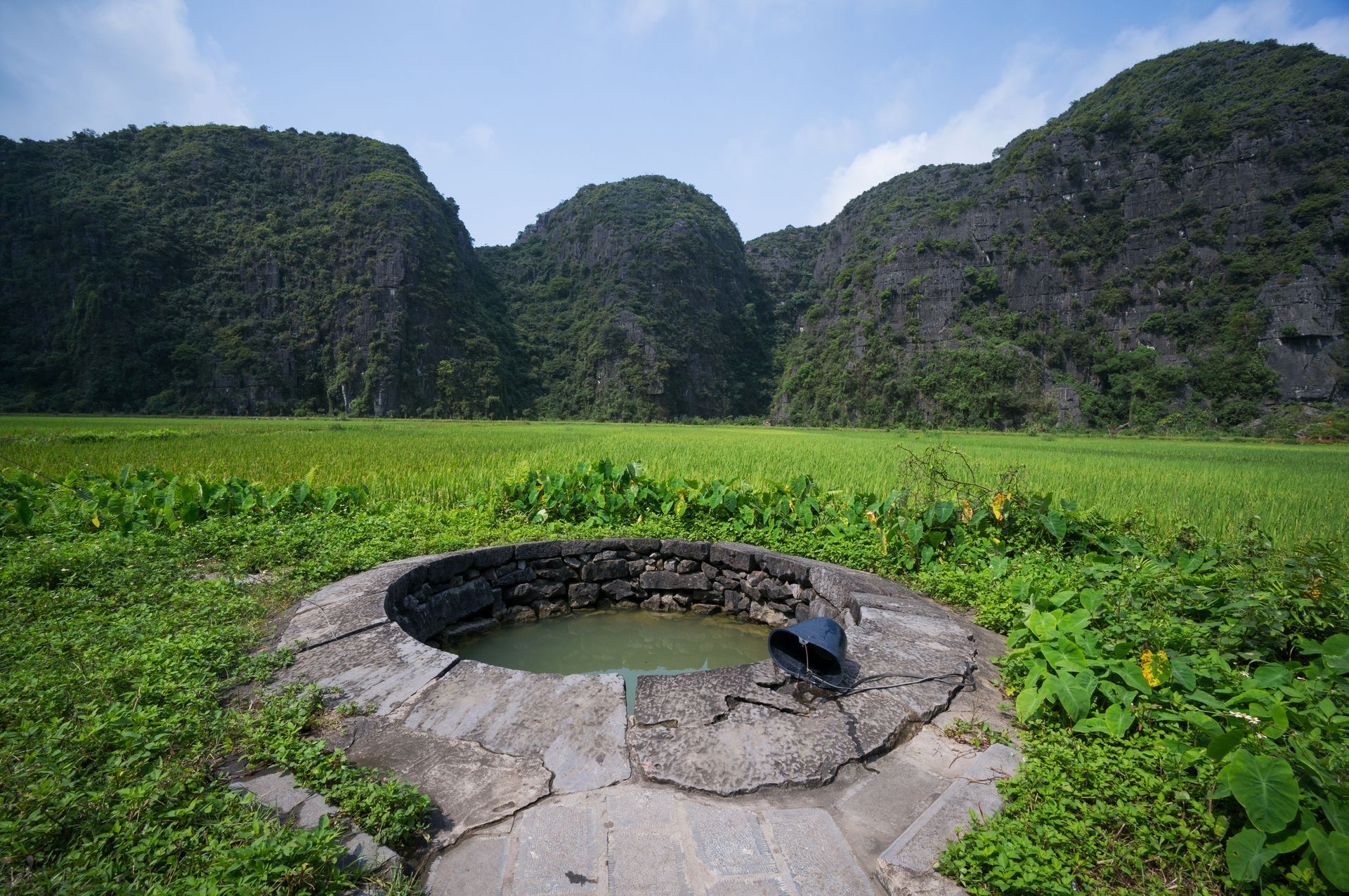 A Round Shaped Well — Concord, CA — J & M Landscape