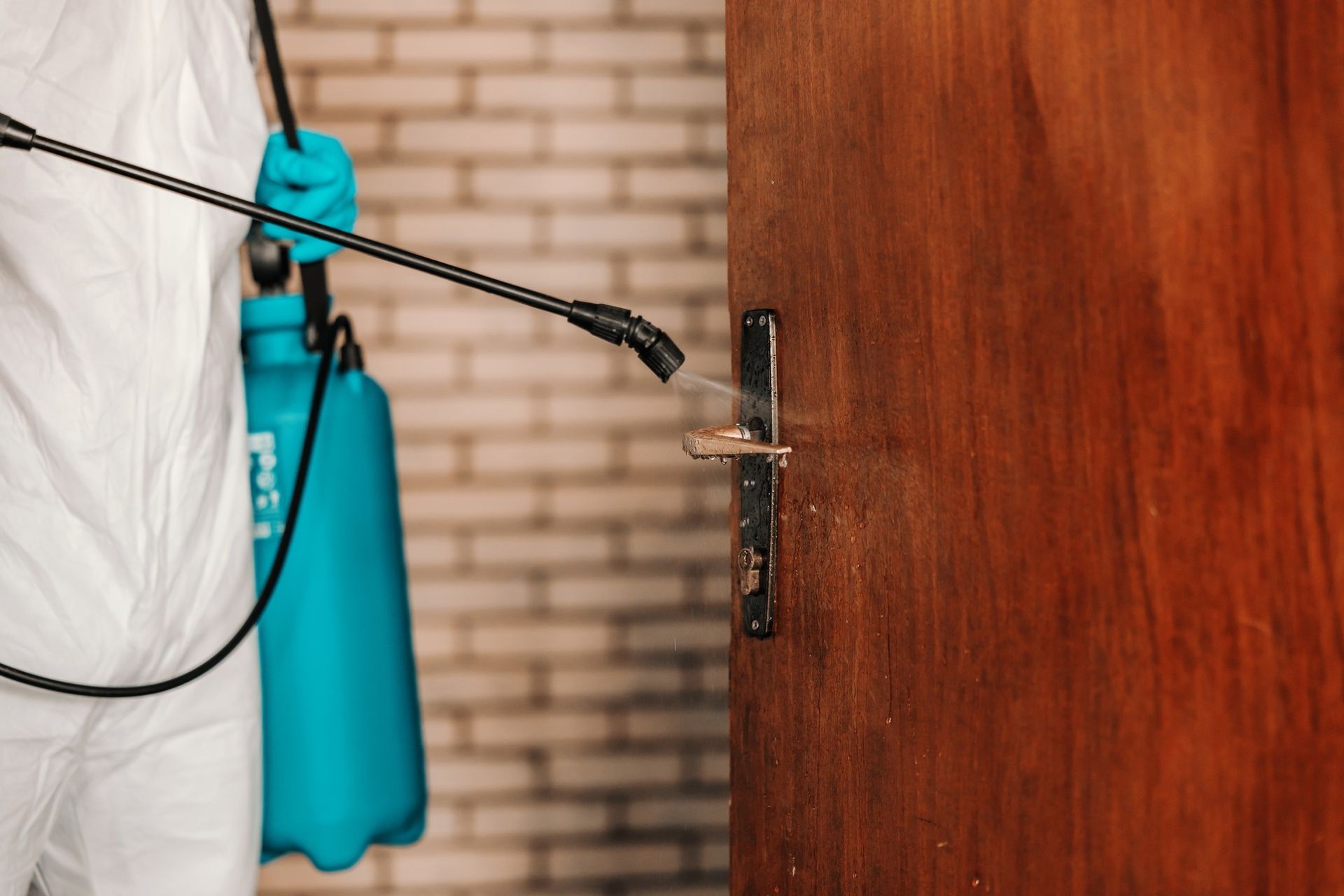 A person is spraying a wooden door with a sprayer.