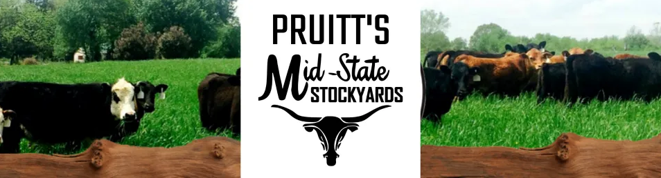 A banner for Gasoline Hill & Antiques featuring a vintage gas pump, bold lettering, and a backdrop of antique signs.