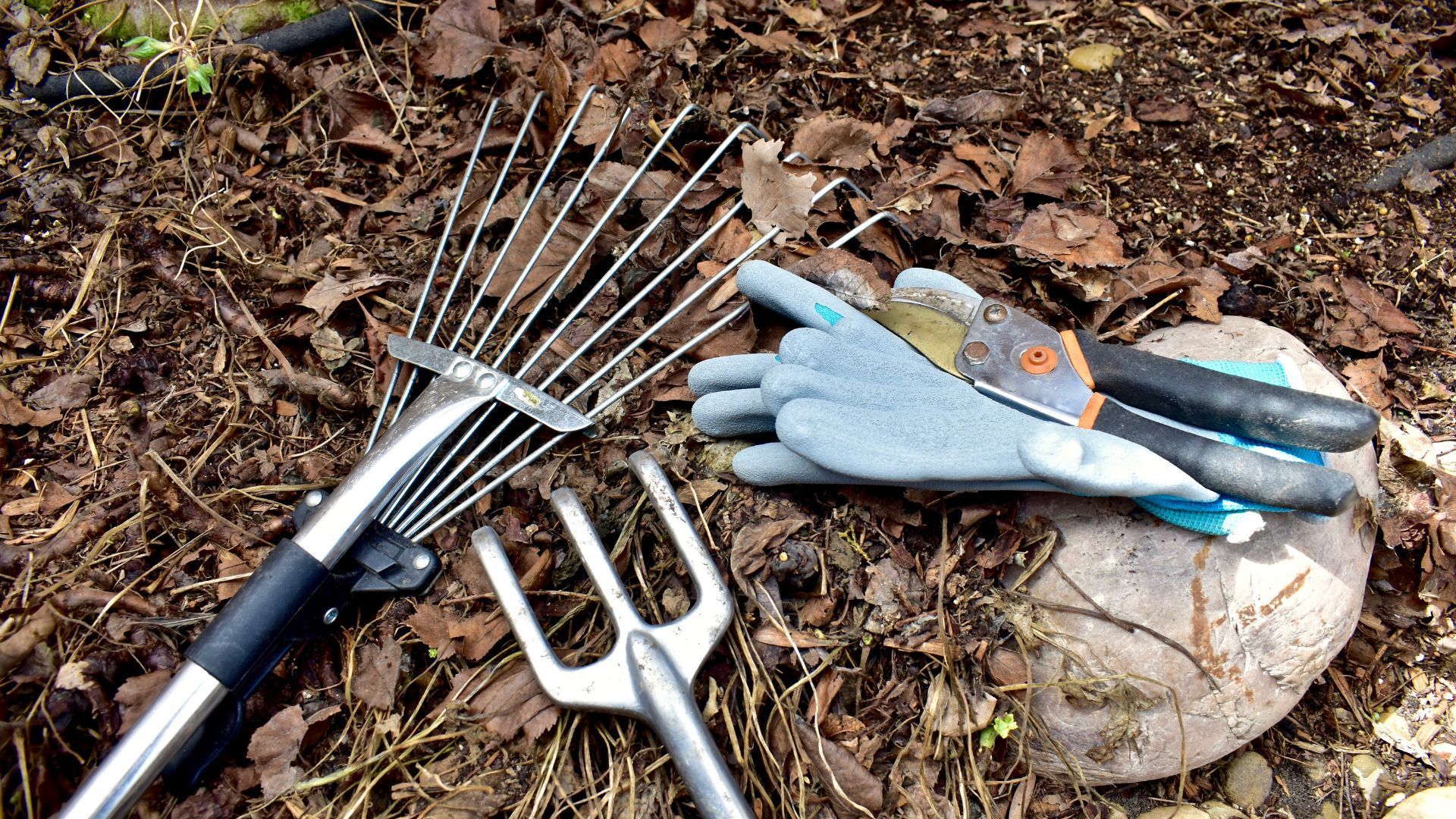 how-to-create-a-landscape-design-plan-a-step-by-step-guide