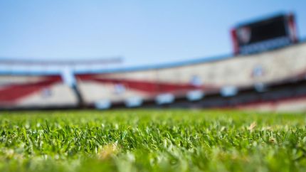 Artificial Grass Installation
