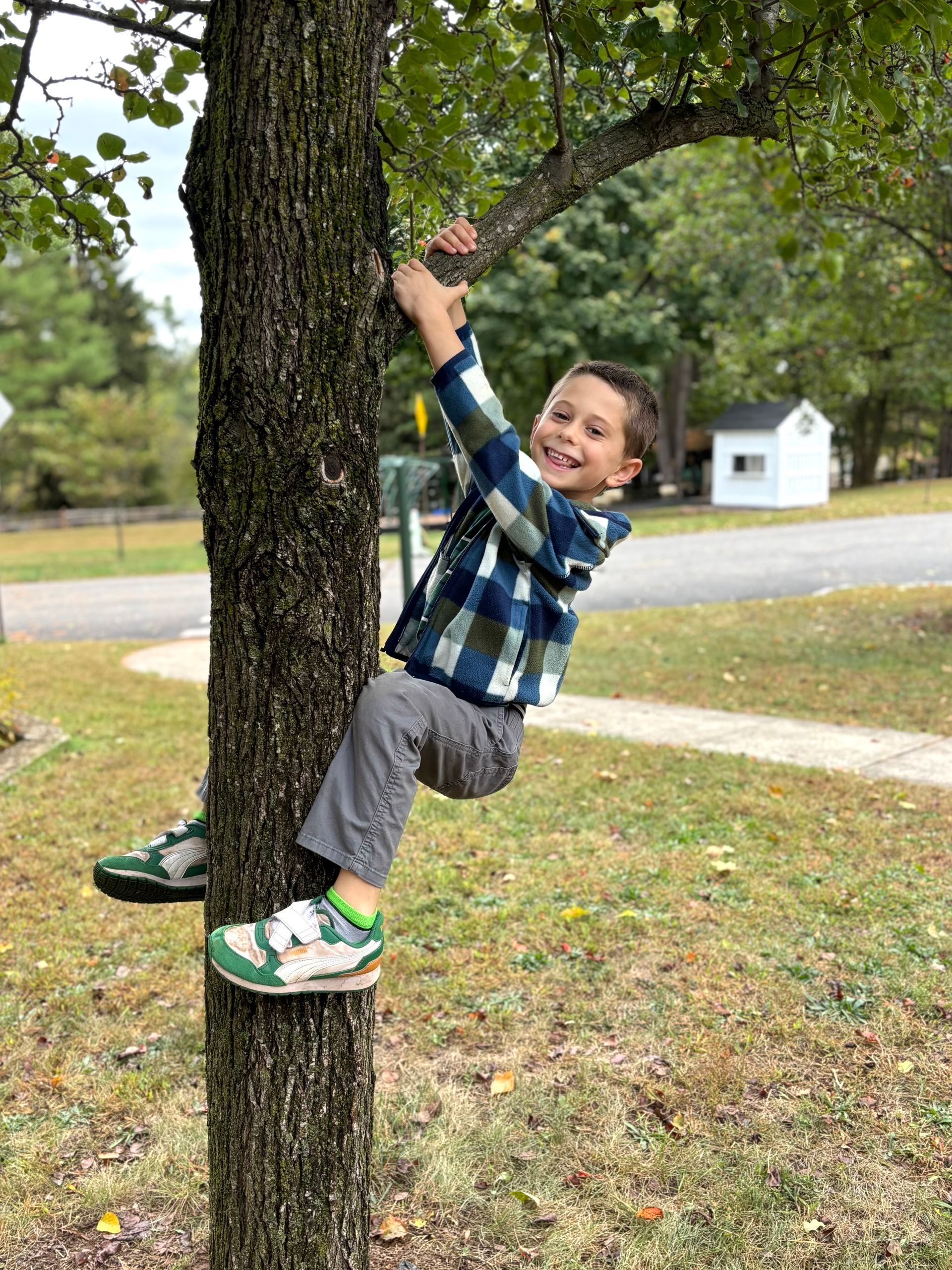 Child in a blue plaid shirt climbing a tree outdoors in a grassy yard