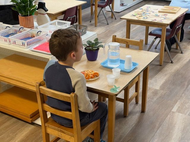 A student sits at a small wooden table with a snack, a small potted plant, and a pitcher of water in a classroom.