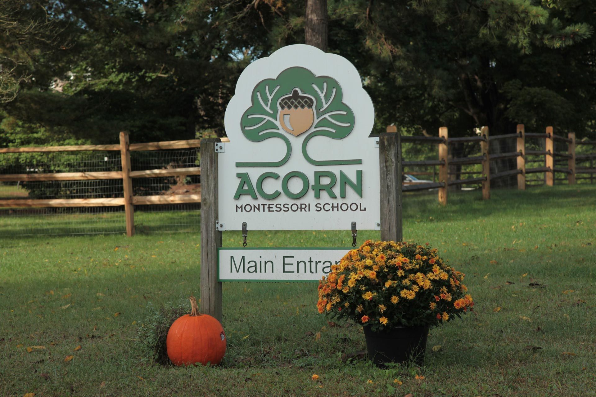 Montessori school sign for Acorn with a pumpkin and yellow mums