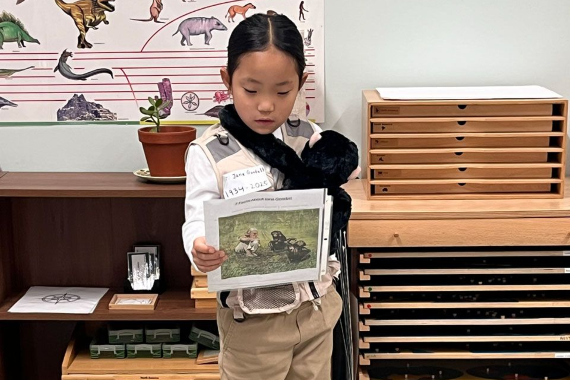 Montessori child presenting a report on Jane Goodall with images
