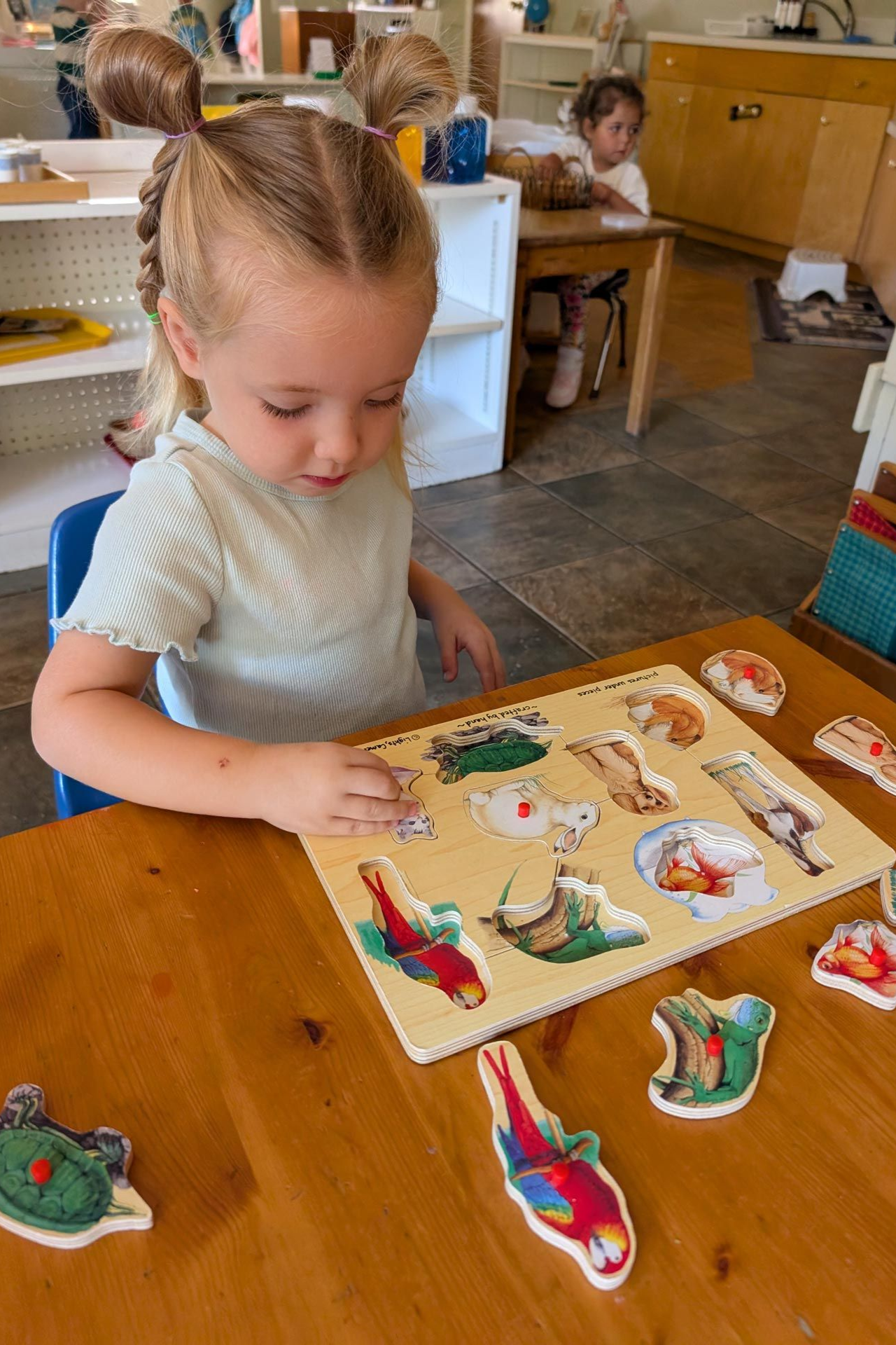 Montessori child focused on completing an animal-themed wooden inset puzzle