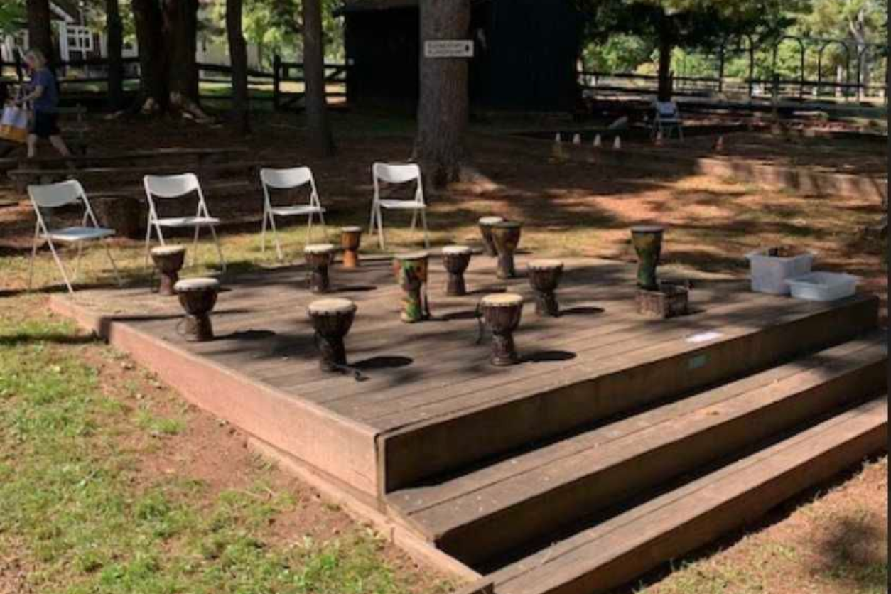 An outdoor Montessori classroom gathering space with natural log seating for circle time and group activities among pine trees