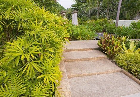 Large Concrete Steps & Plants — construction in Bentley Park, QLD
