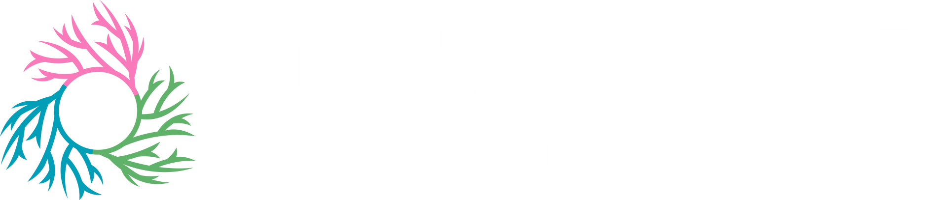 Natural Moss Designs Logo