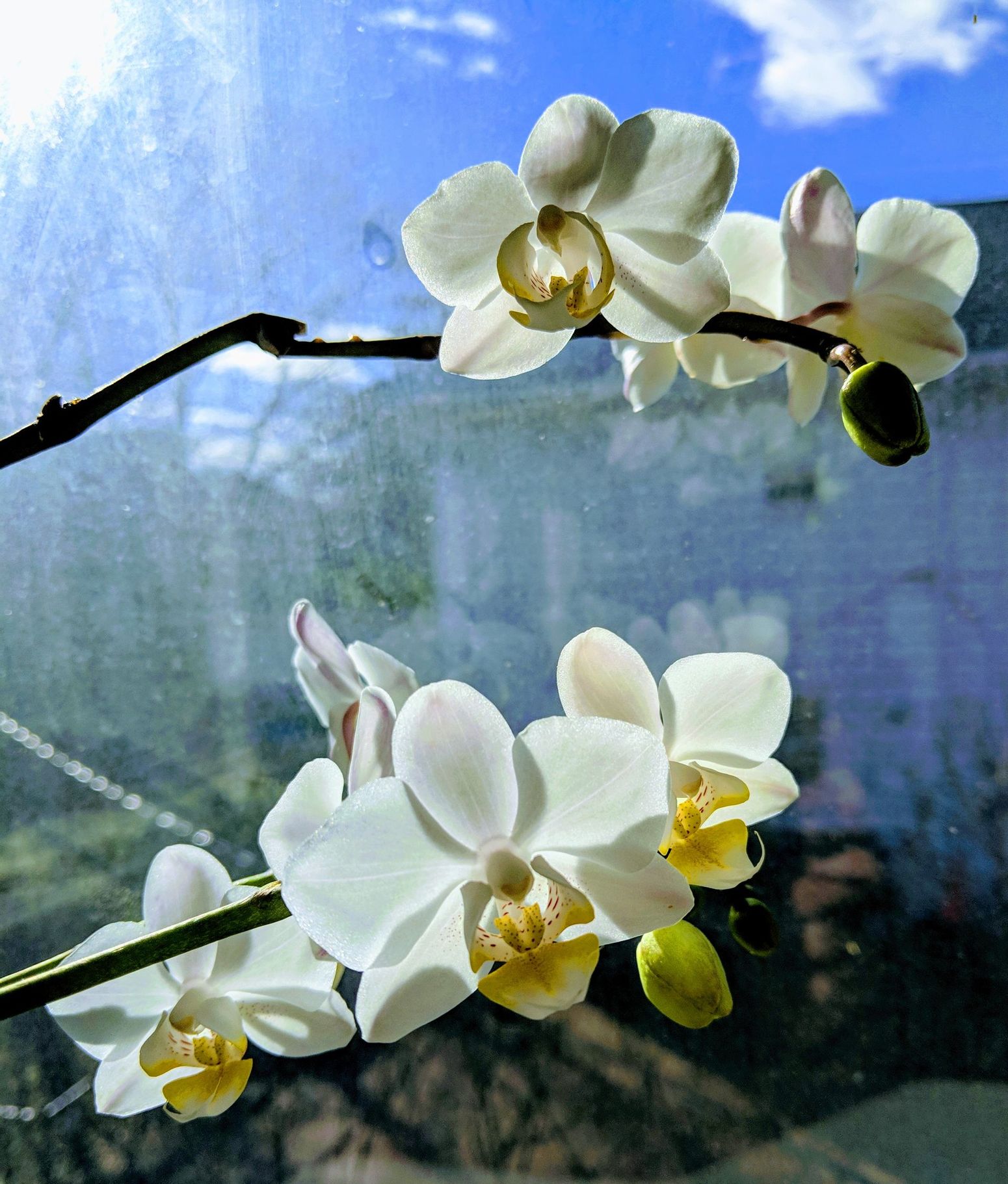 A person in therapy talking while a therapist takes notes on a clipboard in a well-lit room.