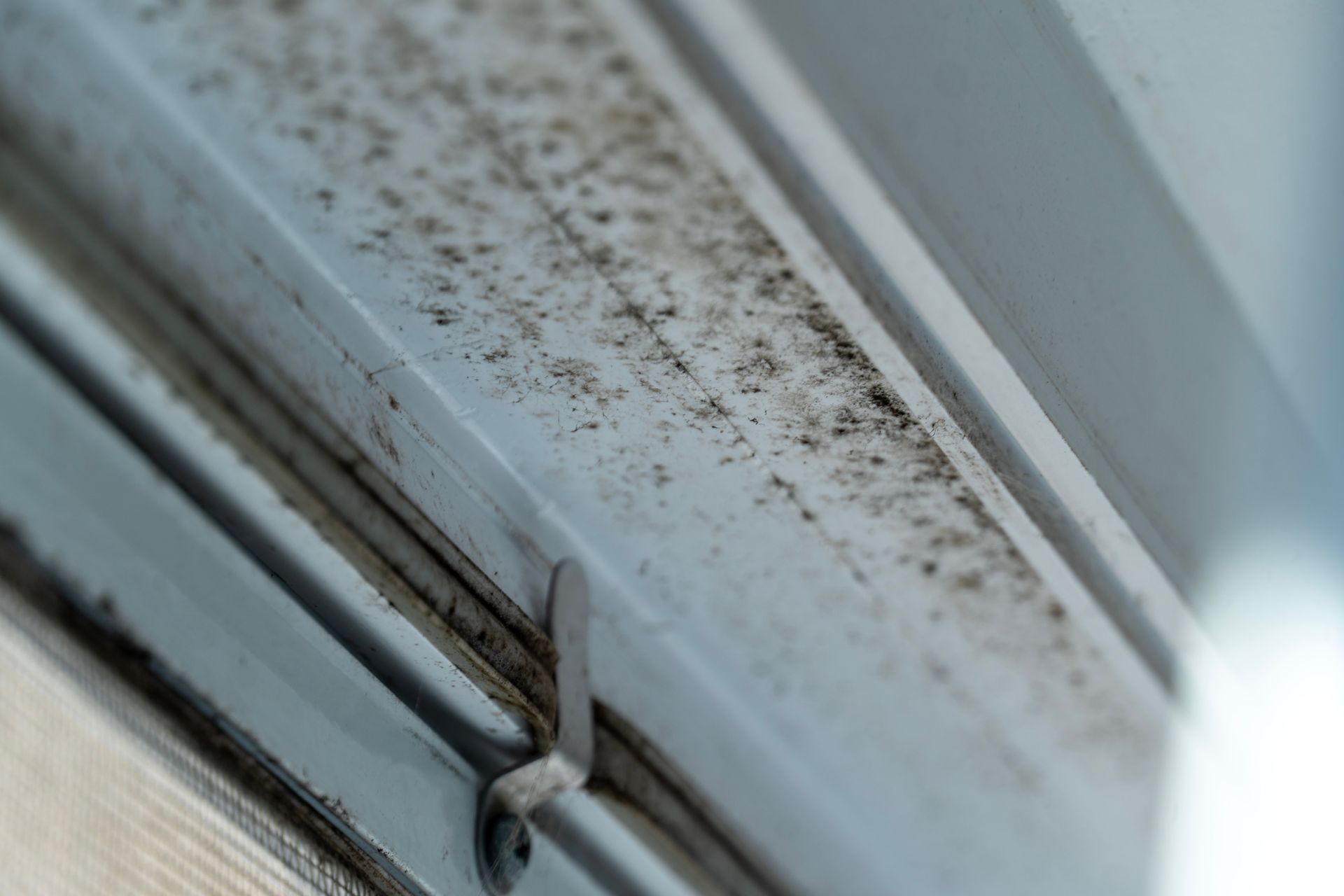 Close-up of a window frame with greyish-white surfaces covered in small, dark spots of mold or mildew.