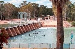 Dam with people swimming in the water, trees in the background, palm tree in the foreground.