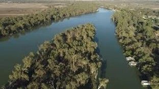 River winding through lush green vegetation, possibly an island, in a rural setting.