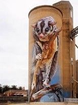 Mural of a sugar glider on a grain silo. The animal clutches a branch, has big eyes, and is set against a blue and beige background.
