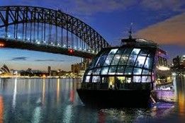 A train is going through a grassy field.