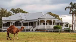 Camel stands in a grassy field in front of a white, wooden house with a veranda. Cloudy sky.