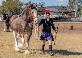 Woman in kilt leading a large draft horse at a show, outdoors.
