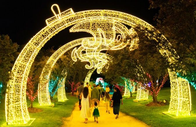 A group of people are walking through a park filled with christmas lights.