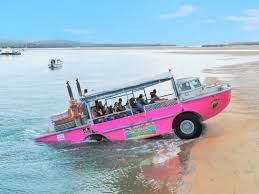Pink amphibious vehicle entering the water from a beach with passengers onboard.