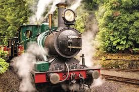A steam train is going down the tracks in the woods.