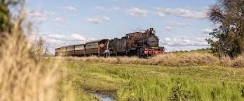A train is going through a grassy field.