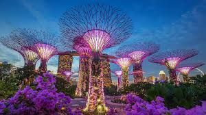 Gardens by the Bay, Singapore, at dusk with illuminated supertrees and purple flowers.